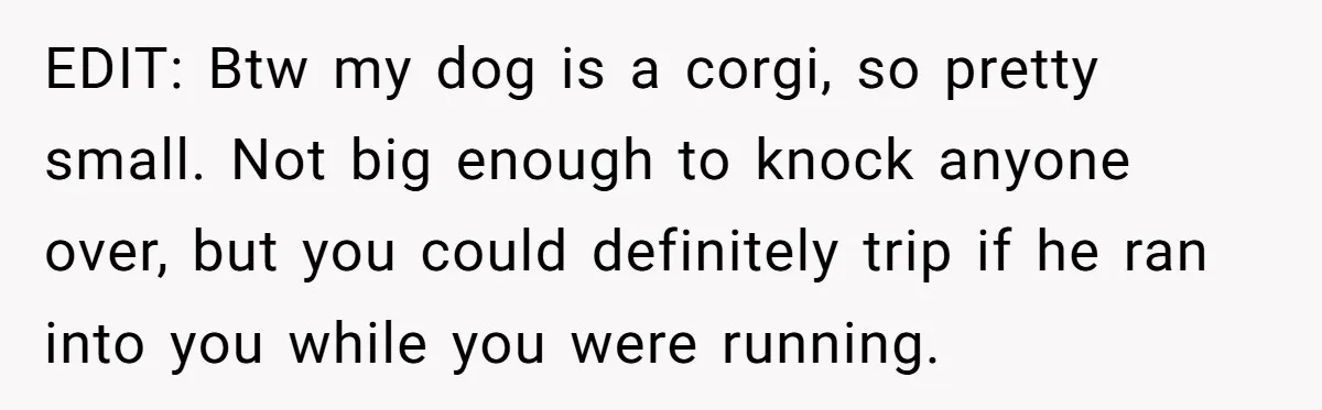 EDIT: Btw my dog is a corgi, so pretty small. Not big enough to knock anyone over, but you could definitely trip if he ran into you while you were...