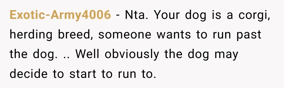 Exotic-Army4006 − Nta. Your dog is a corgi, herding breed, someone wants to run past the dog. .. Well obviously the dog may decide to start to run to.