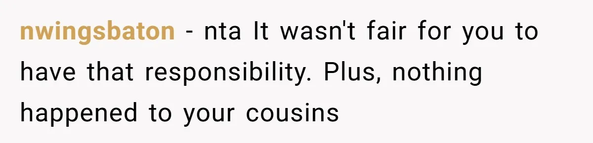 nwingsbaton − nta It wasn't fair for you to have that responsibility. Plus, nothing happened to your cousins