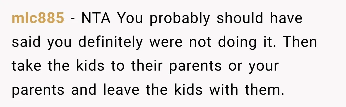 mlc885 − NTA You probably should have said you definitely were not doing it. Then take the kids to their parents or your parents and leave the kids with them.