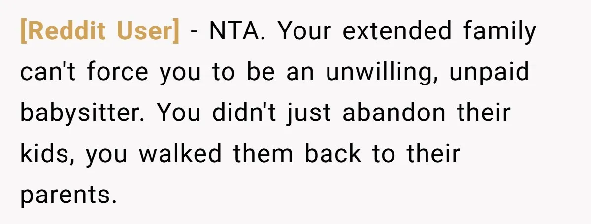 [Reddit User] − NTA. Your extended family can't force you to be an unwilling, unpaid babysitter. You didn't just abandon their kids, you walked them back to their parents.