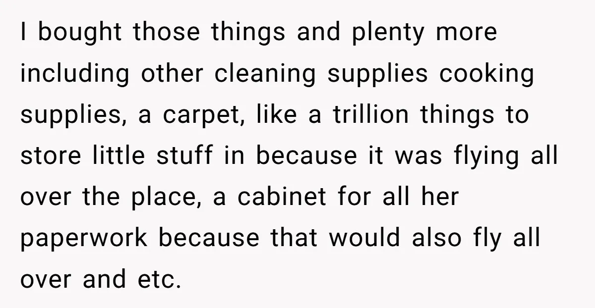 I bought those things and plenty more including other cleaning supplies cooking supplies, a carpet, like a trillion things to store little stuff in because it was flying all over...