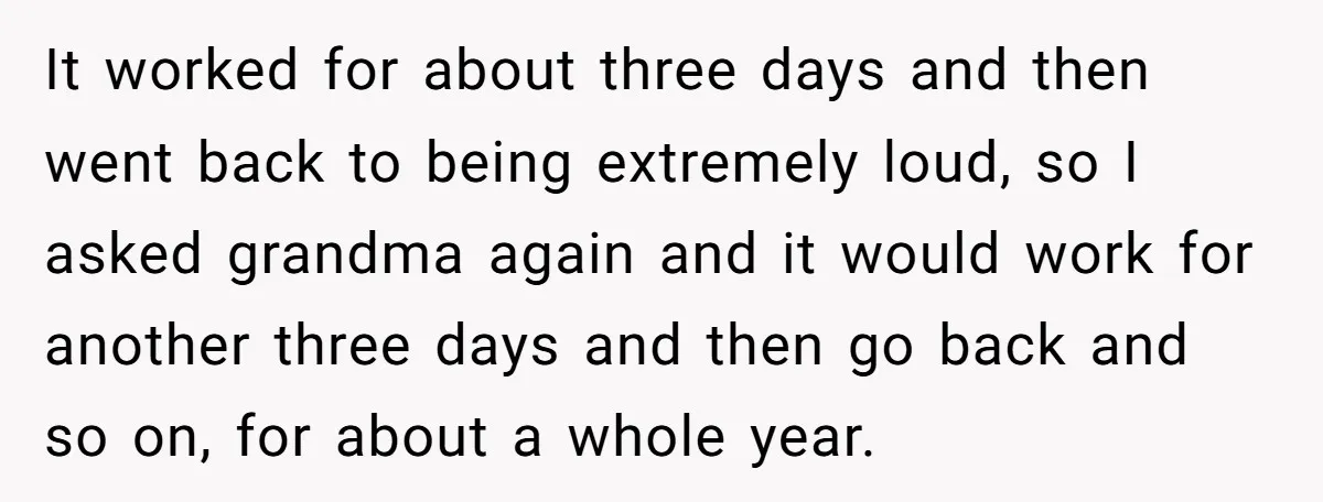 It worked for about three days and then went back to being extremely loud, so I asked grandma again and it would work for another three days and then go...