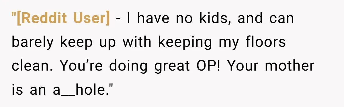 "[Reddit User] − I have no kids, and can barely keep up with keeping my floors clean. You’re doing great OP! Your mother is an a__hole."