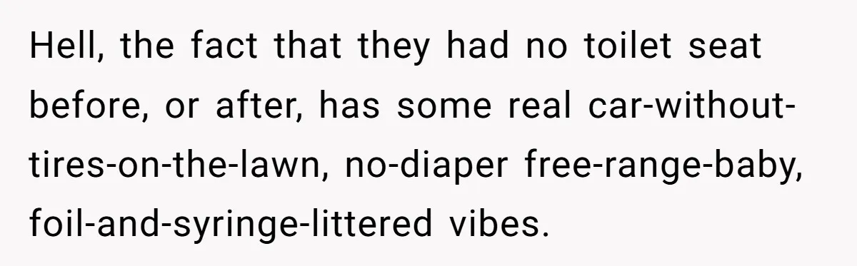 Hell, the fact that they had no toilet seat before, or after, has some real car-without-tires-on-the-lawn, no-diaper free-range-baby, foil-and-syringe-littered vibes.