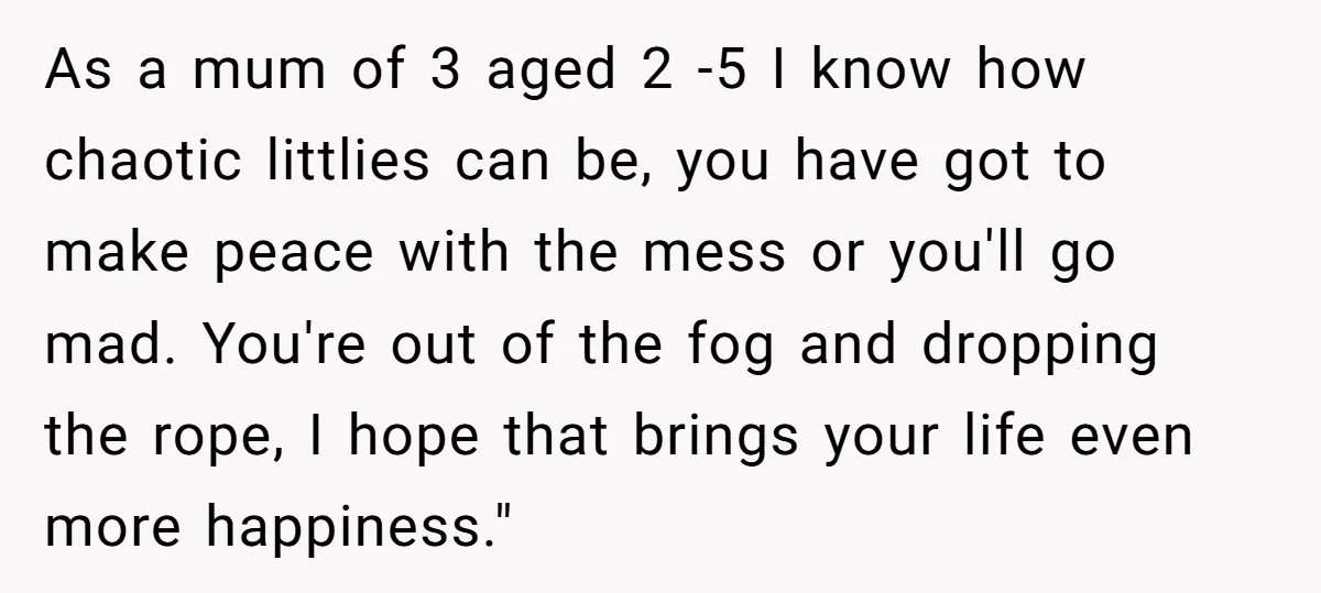 As a mum of 3 aged 2 -5 I know how chaotic littlies can be, you have got to make peace with the mess or you'll go mad. You're out...