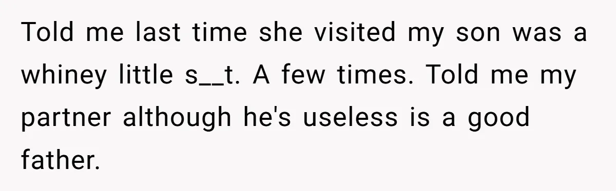 Told me last time she visited my son was a whiney little s__t. A few times. Told me my partner although he's useless is a good father.