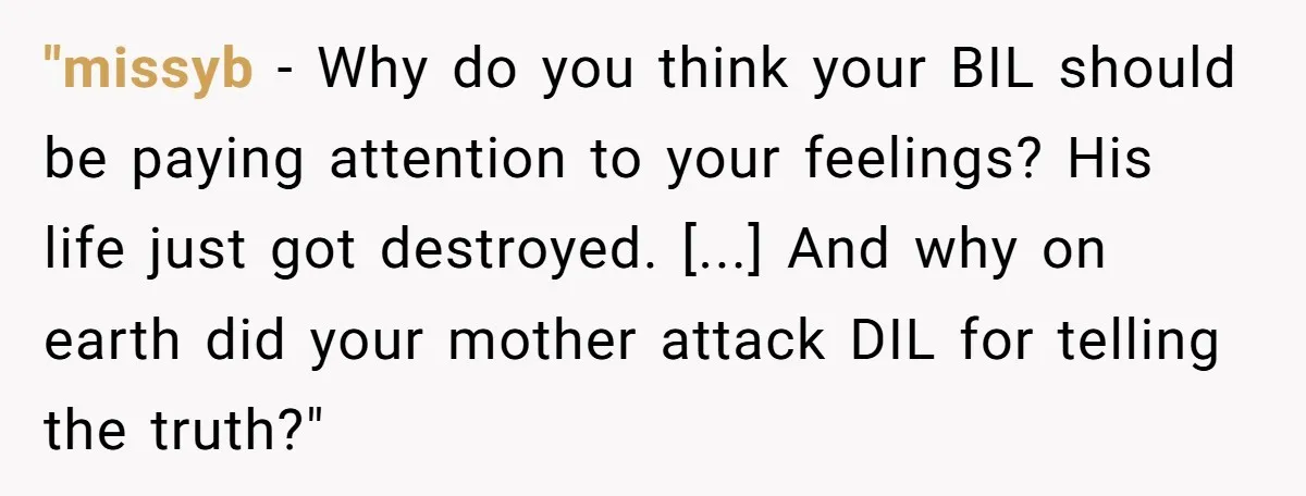 "missyb − Why do you think your BIL should be paying attention to your feelings? His life just got destroyed. [...] And why on earth did your mother attack DIL...