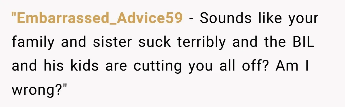 "Embarrassed_Advice59 − Sounds like your family and sister suck terribly and the BIL and his kids are cutting you all off? Am I wrong?"