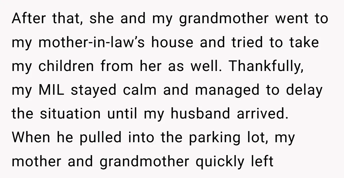 After that, she and my grandmother went to my mother-in-law’s house and tried to take my children from her as well. Thankfully, my MIL stayed calm and managed to delay...