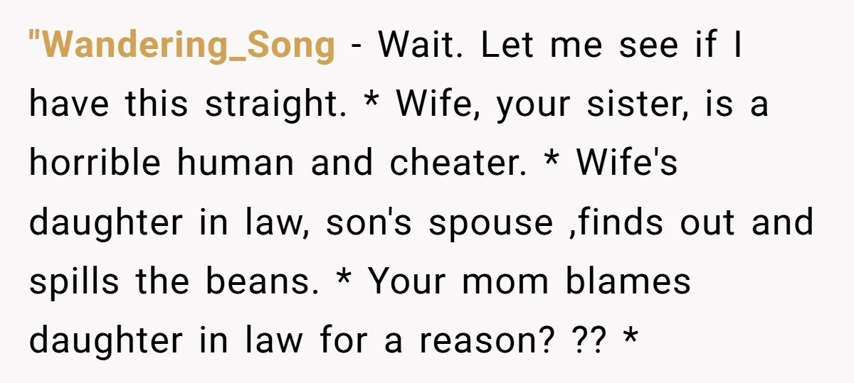 "Wandering_Song − Wait. Let me see if I have this straight. * Wife, your sister, is a horrible human and cheater. * Wife's daughter in law, son's spouse ,finds out...