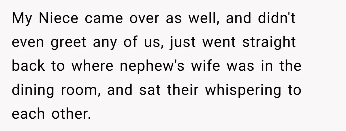 My Niece came over as well, and didn't even greet any of us, just went straight back to where nephew's wife was in the dining room, and sat their whispering...