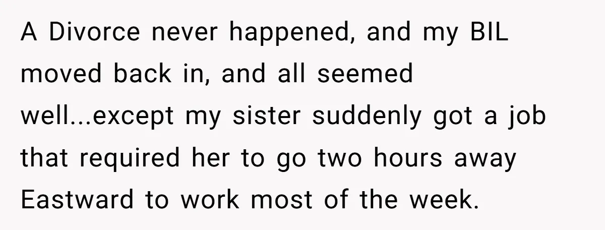 A Divorce never happened, and my BIL moved back in, and all seemed well...except my sister suddenly got a job that required her to go two hours away Eastward to...