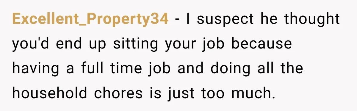 Excellent_Property34 − I suspect he thought you'd end up sitting your job because having a full time job and doing all the household chores is just too much.