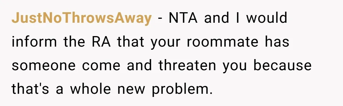 JustNoThrowsAway − NTA and I would inform the RA that your roommate has someone come and threaten you because that's a whole new problem.