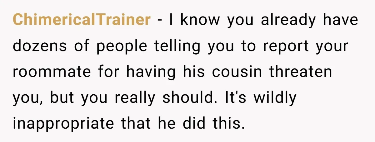 ChimericalTrainer − I know you already have dozens of people telling you to report your roommate for having his cousin threaten you, but you really should. It's wildly inappropriate that...