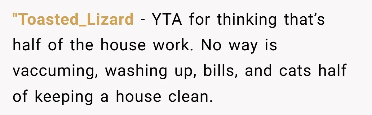 "Toasted_Lizard − YTA for thinking that’s half of the house work. No way is vaccuming, washing up, bills, and cats half of keeping a house clean.