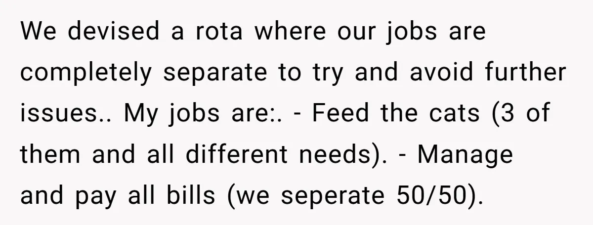 We devised a rota where our jobs are completely separate to try and avoid further issues.. My jobs are:. - Feed the cats (3 of them and all different needs)....