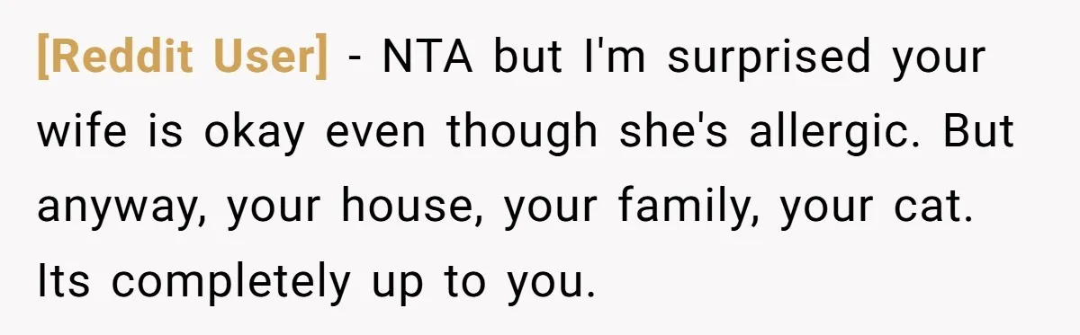 [Reddit User] − NTA but I'm surprised your wife is okay even though she's allergic. But anyway, your house, your family, your cat. Its completely up to you.
