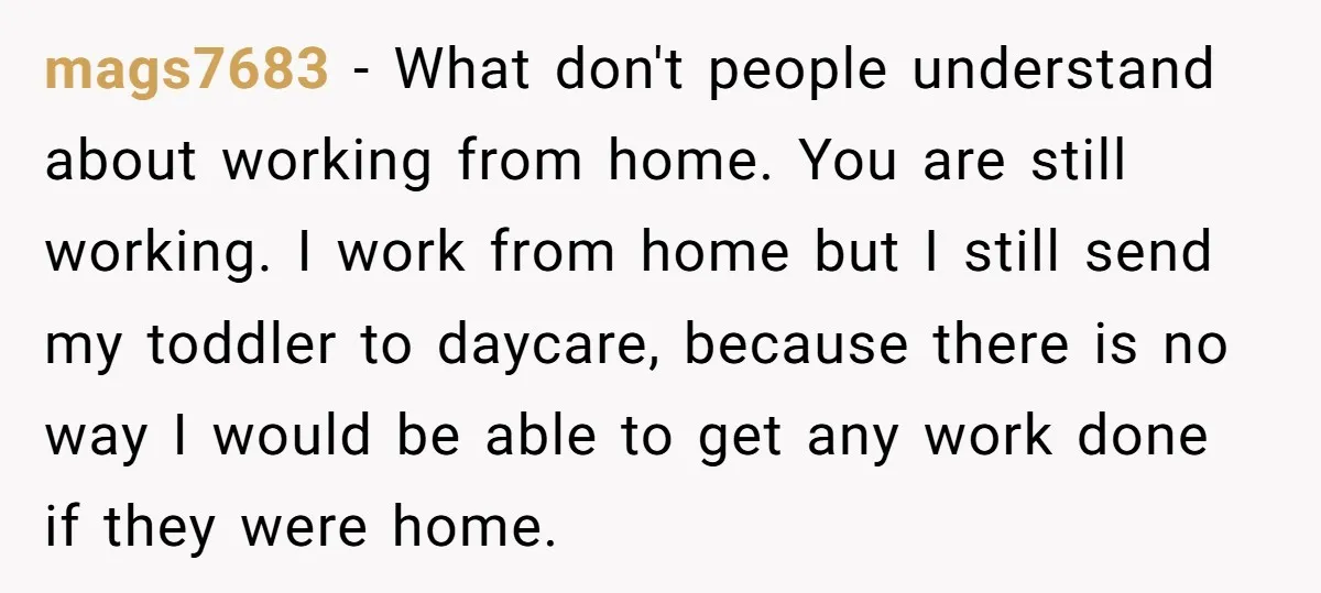 mags7683 − What don't people understand about working from home. You are still working. I work from home but I still send my toddler to daycare, because there is no...