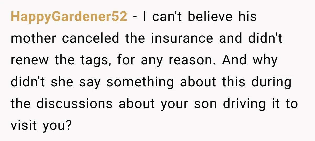 HappyGardener52 − I can't believe his mother canceled the insurance and didn't renew the tags, for any reason. And why didn't she say something about this during the discussions about...