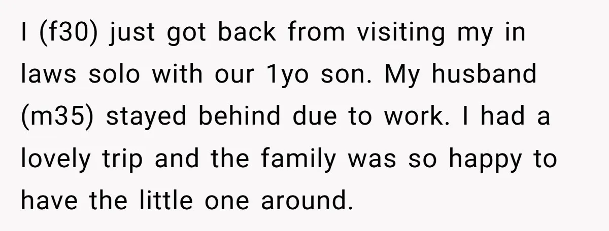 I (f30) just got back from visiting my in laws solo with our 1yo son. My husband (m35) stayed behind due to work. I had a lovely trip and the...