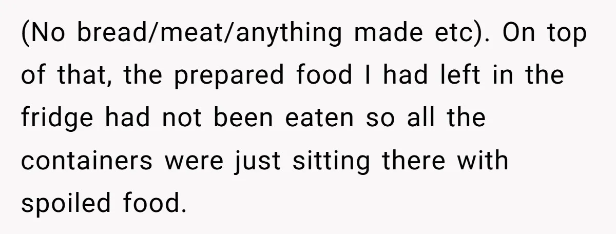(No bread/meat/anything made etc). On top of that, the prepared food I had left in the fridge had not been eaten so all the containers were just sitting there with...