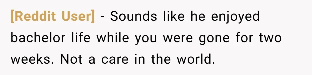 [Reddit User] − Sounds like he enjoyed bachelor life while you were gone for two weeks. Not a care in the world.