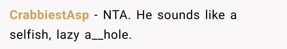 CrabbiestAsp − NTA. He sounds like a selfish, lazy a__hole.
