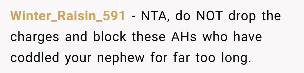 Winter_Raisin_591 − NTA, do NOT drop the charges and block these AHs who have coddled your nephew for far too long.