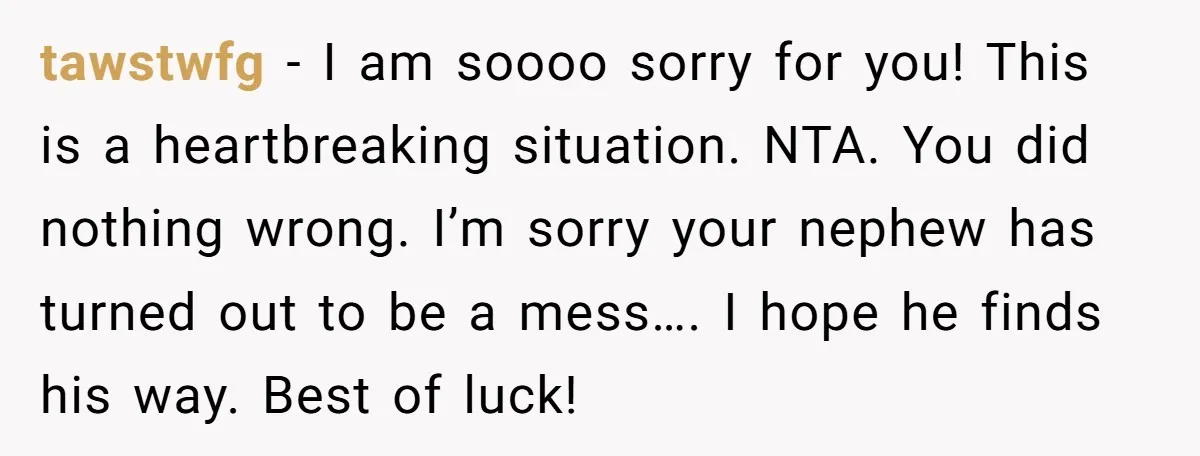 tawstwfg − I am soooo sorry for you! This is a heartbreaking situation. NTA. You did nothing wrong. I’m sorry your nephew has turned out to be a mess…. I...
