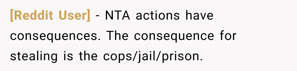 [Reddit User] − NTA actions have consequences. The consequence for stealing is the cops/jail/prison.