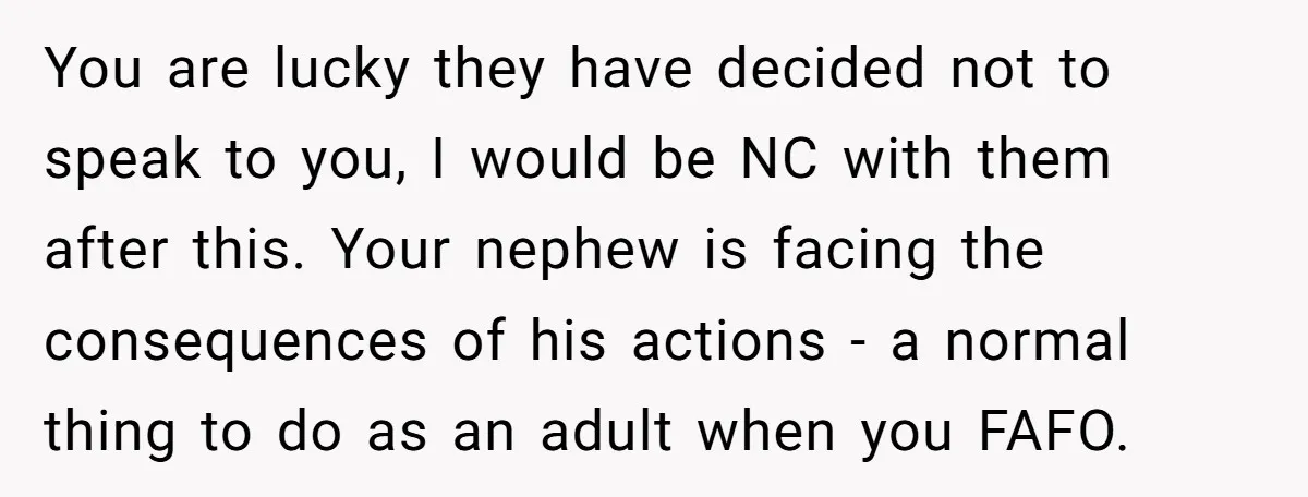 You are lucky they have decided not to speak to you, I would be NC with them after this. Your nephew is facing the consequences of his actions - a...