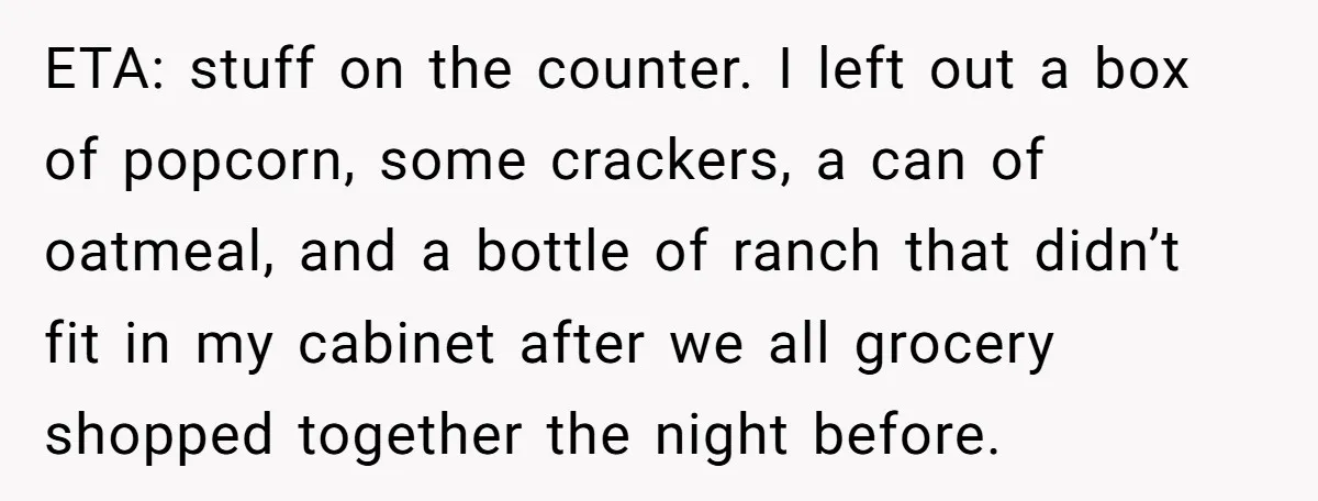 ETA: stuff on the counter. I left out a box of popcorn, some crackers, a can of oatmeal, and a bottle of ranch that didn’t fit in my cabinet after...