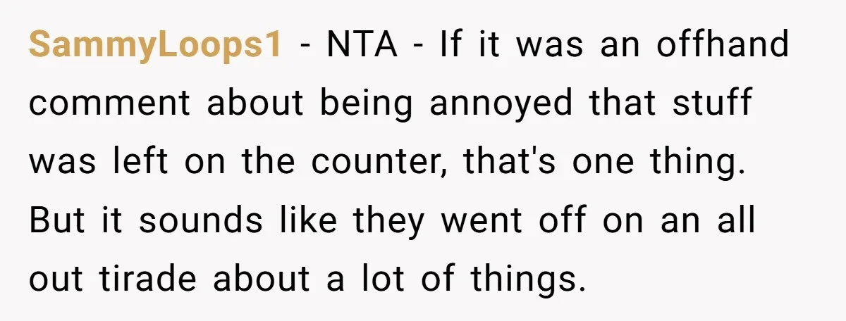 SammyLoops1 − NTA - If it was an offhand comment about being annoyed that stuff was left on the counter, that's one thing. But it sounds like they went off...