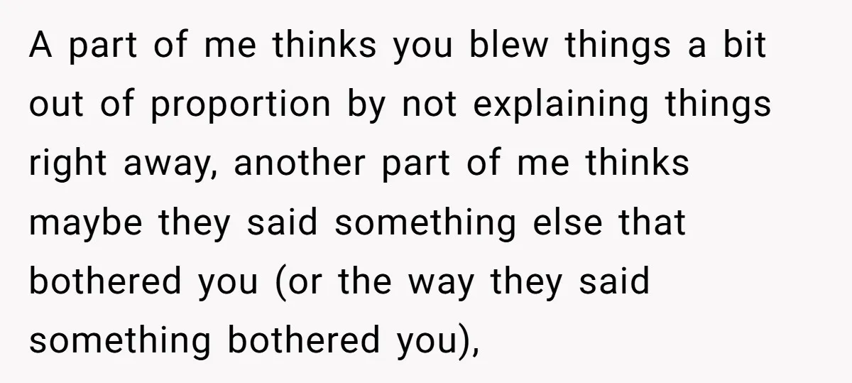 A part of me thinks you blew things a bit out of proportion by not explaining things right away, another part of me thinks maybe they said something else that...