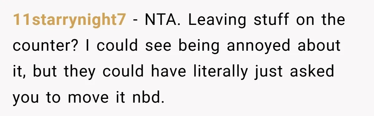 11starrynight7 − NTA. Leaving stuff on the counter? I could see being annoyed about it, but they could have literally just asked you to move it nbd.