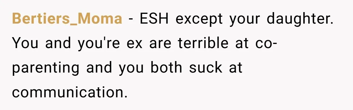 Bertiers_Moma − ESH except your daughter. You and you're ex are terrible at co-parenting and you both suck at communication.