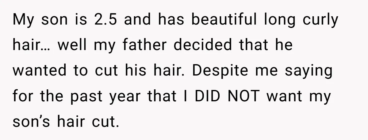 My son is 2.5 and has beautiful long curly hair… well my father decided that he wanted to cut his hair. Despite me saying for the past year that I...