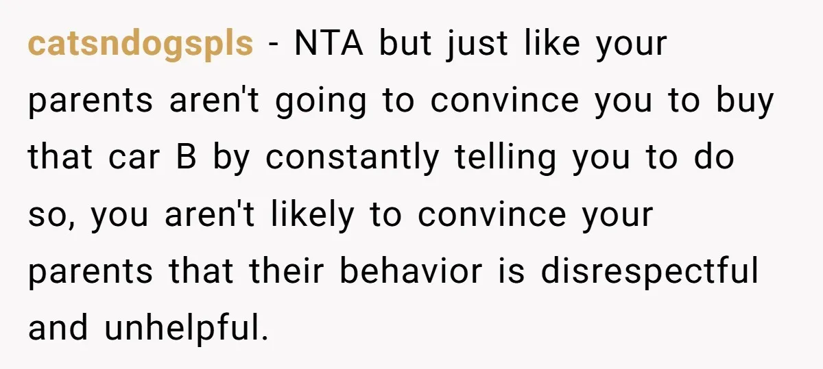 catsndogspls − NTA but just like your parents aren't going to convince you to buy that car B by constantly telling you to do so, you aren't likely to convince...