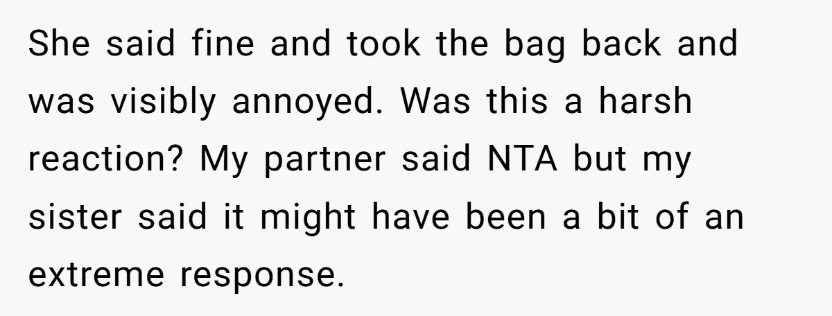 She said fine and took the bag back and was visibly annoyed. Was this a harsh reaction? My partner said NTA but my sister said it might have been a...