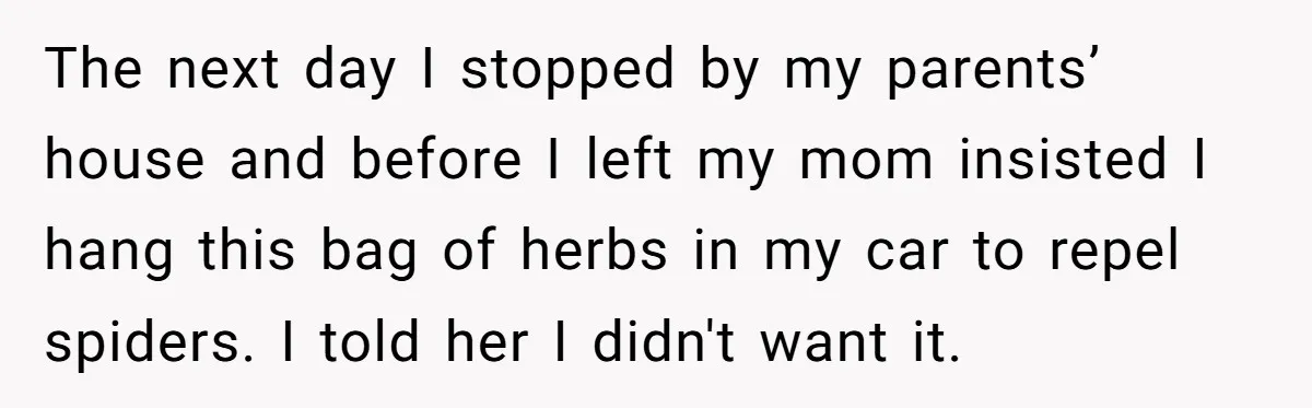 The next day I stopped by my parents’ house and before I left my mom insisted I hang this bag of herbs in my car to repel spiders. I told...