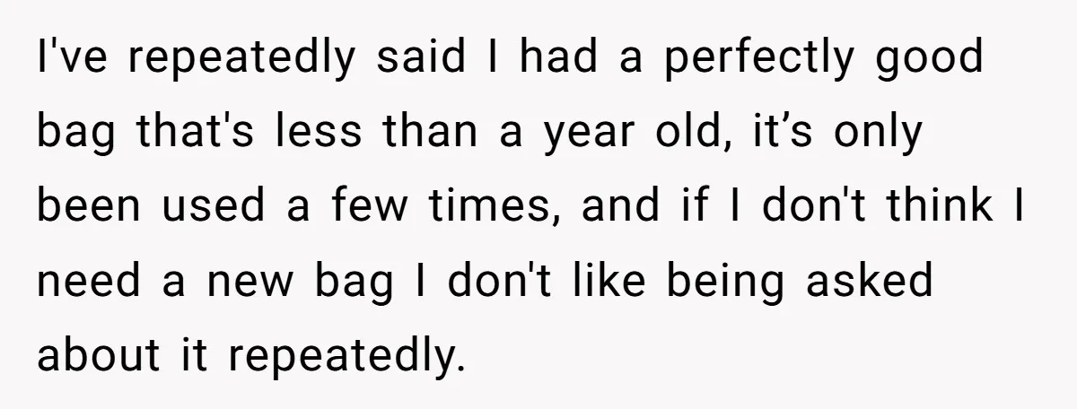 I've repeatedly said I had a perfectly good bag that's less than a year old, it’s only been used a few times, and if I don't think I need a...