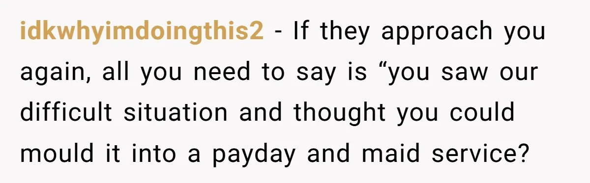 idkwhyimdoingthis2 − If they approach you again, all you need to say is “you saw our difficult situation and thought you could mould it into a payday and maid service?