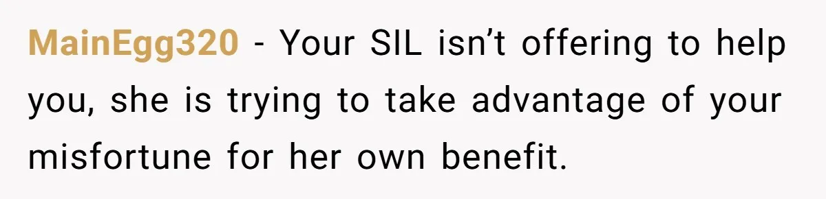 MainEgg320 − Your SIL isn’t offering to help you, she is trying to take advantage of your misfortune for her own benefit.