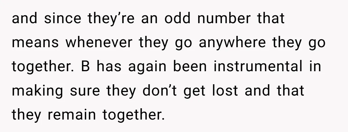 and since they’re an odd number that means whenever they go anywhere they go together. B has again been instrumental in making sure they don’t get lost and that they...