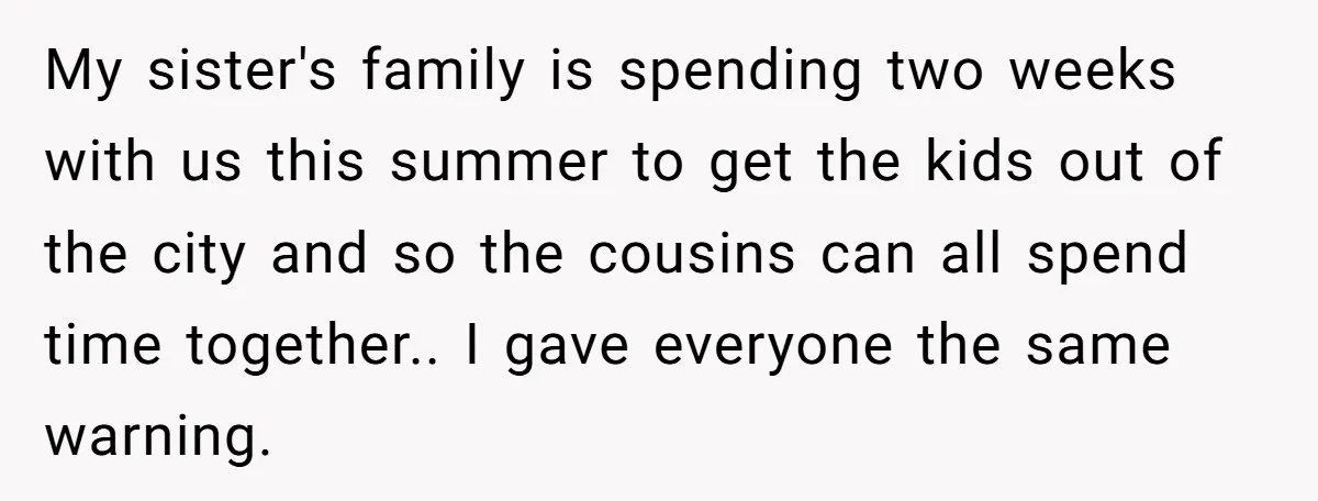 My sister's family is spending two weeks with us this summer to get the kids out of the city and so the cousins can all spend time together.. I gave...