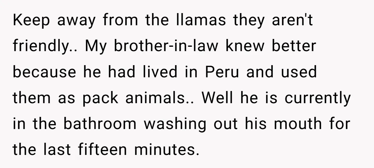 Keep away from the llamas they aren't friendly.. My brother-in-law knew better because he had lived in Peru and used them as pack animals.. Well he is currently in the...