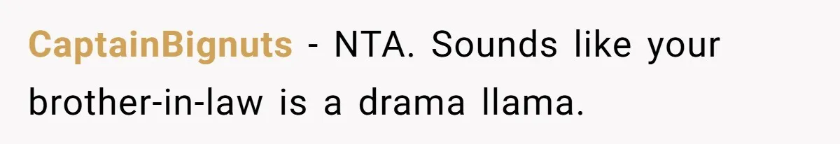 CaptainBignuts − NTA. Sounds like your brother-in-law is a drama llama.