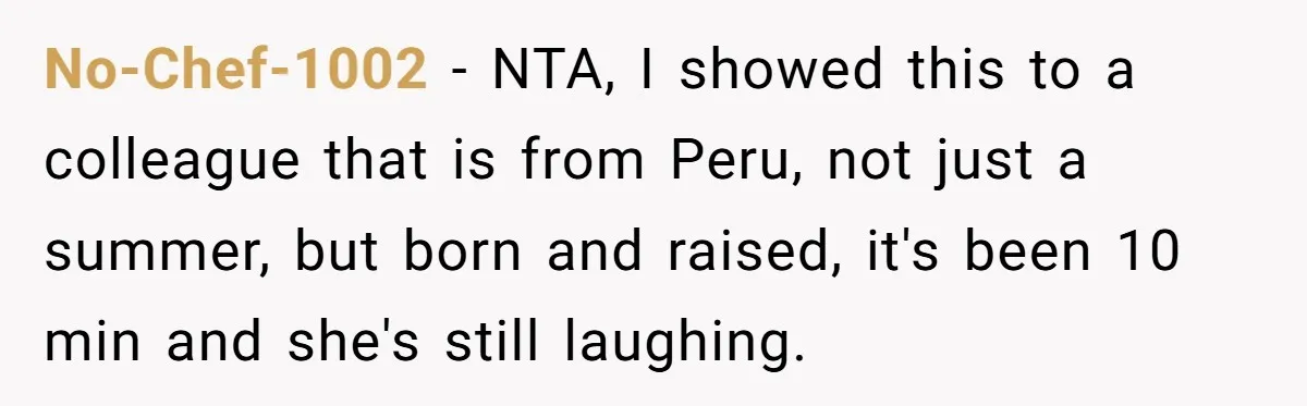 No-Chef-1002 − NTA, I showed this to a colleague that is from Peru, not just a summer, but born and raised, it's been 10 min and she's still laughing.